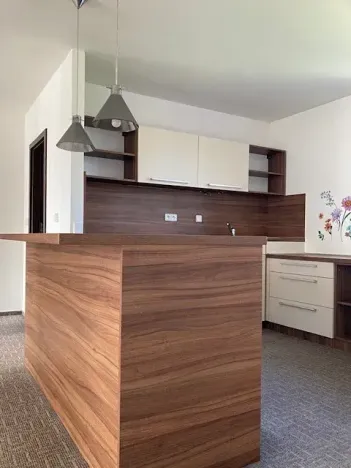 Pronájem bytu 4+kk, Chomutov, Dostojevského, 155 m2