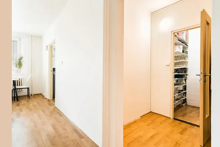 Prodej bytu 1+1, Brno, Horácké náměstí, 45 m2