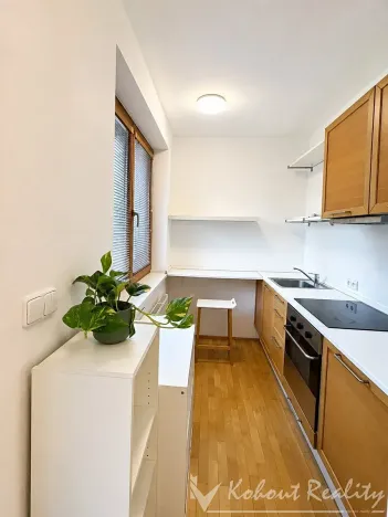 Pronájem bytu 1+kk, Praha - Strašnice, Flájská, 31 m2