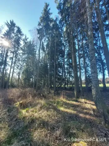 Prodej lesa, Čáslavsko, 2742 m2