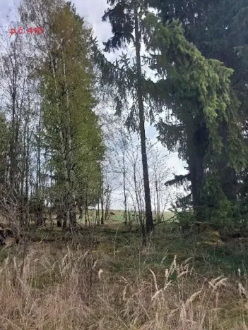 Prodej lesa, Žirovnice, 1258 m2