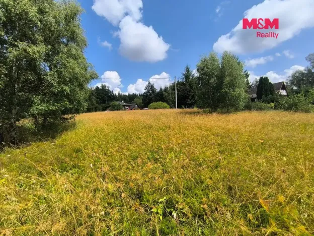 Prodej louky, Nejdek - Bernov, 1479 m2