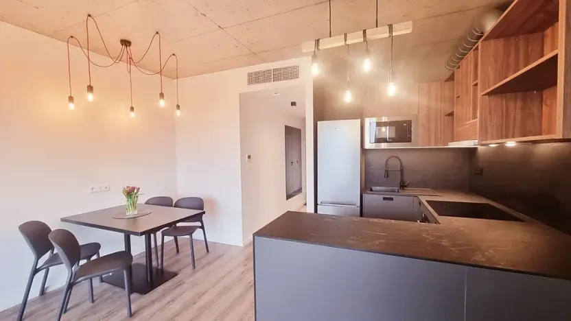 Pronájem bytu 2+kk, Brno, V rejích, 49 m2