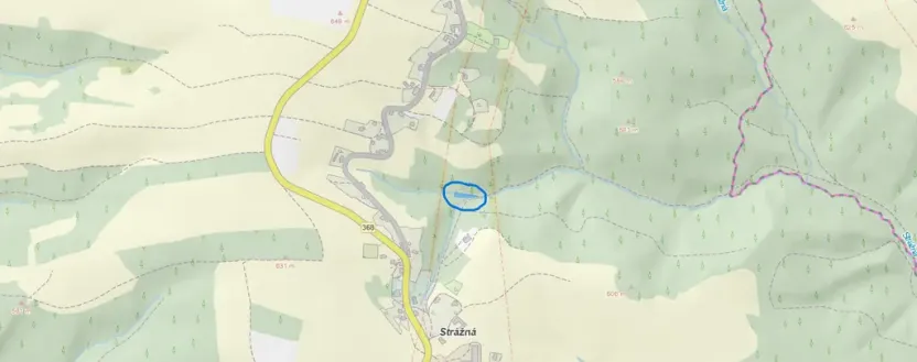Prodej lesa, Strážná, 615 m2