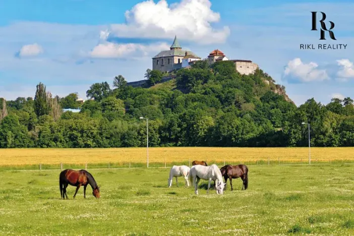 Prodej pozemku pro bydlení, Ráby, 981 m2