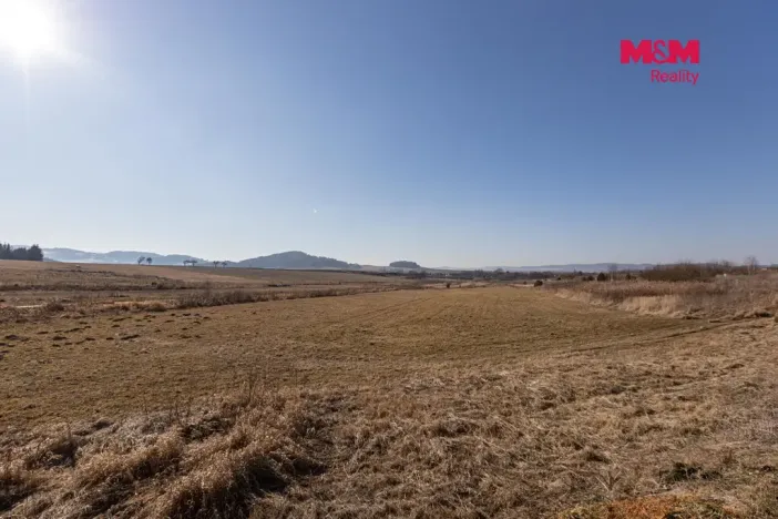 Prodej pozemku pro bydlení, Klatovy - Sobětice, 10001 m2