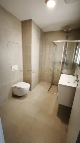 Pronájem bytu 1+kk, Brno - Jehnice, Kleštínek, 29 m2