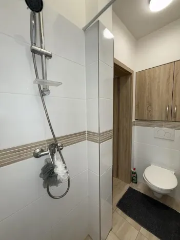 Prodej bytu 1+kk, Opava - Předměstí, Alšova, 12 m2
