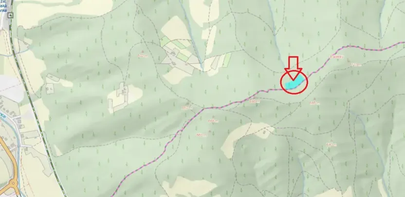 Prodej podílu lesa, Valašská Polanka, 1373 m2