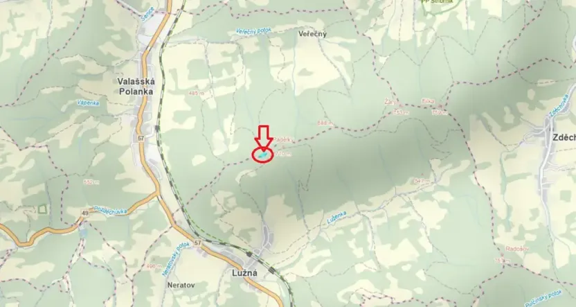 Prodej podílu lesa, Valašská Polanka, 1373 m2