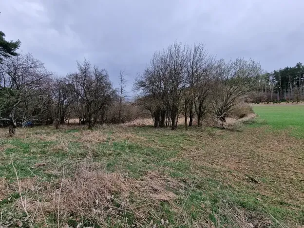 Prodej podílu pozemku pro bydlení, Bělčice, 34980 m2