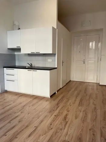 Pronájem bytu 1+kk, Praha - Nové Město, Na bojišti, 22 m2