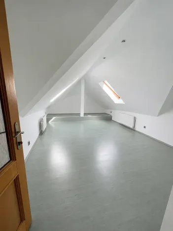 Pronájem bytu 5+kk, Praha - Vinohrady, Mánesova, 300 m2