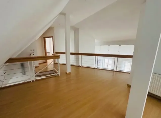 Pronájem bytu 5+kk, Praha - Vinohrady, Mánesova, 300 m2