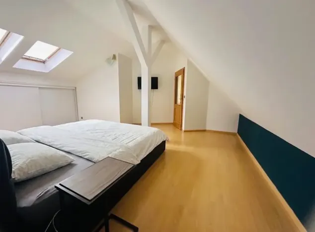 Pronájem bytu 5+kk, Praha - Vinohrady, Mánesova, 300 m2