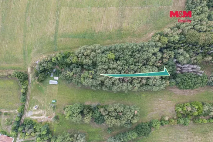 Prodej lesa, Rodná, 281 m2