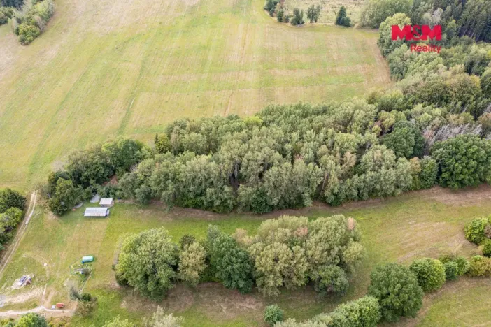 Prodej lesa, Rodná, 281 m2