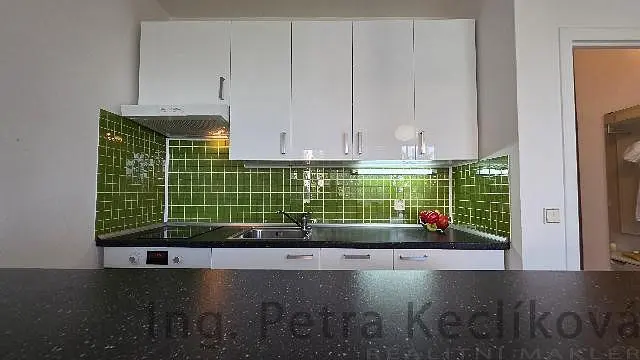 Pronájem bytu 1+kk, Brno - Starý Lískovec, Vltavská, 28 m2