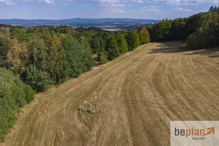 Prodej pozemku pro bydlení, Merklín, 1038 m2
