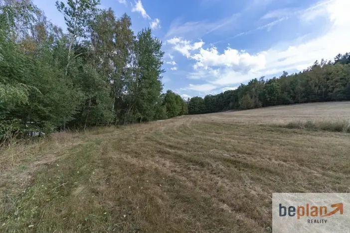 Prodej pozemku pro bydlení, Merklín, 1038 m2