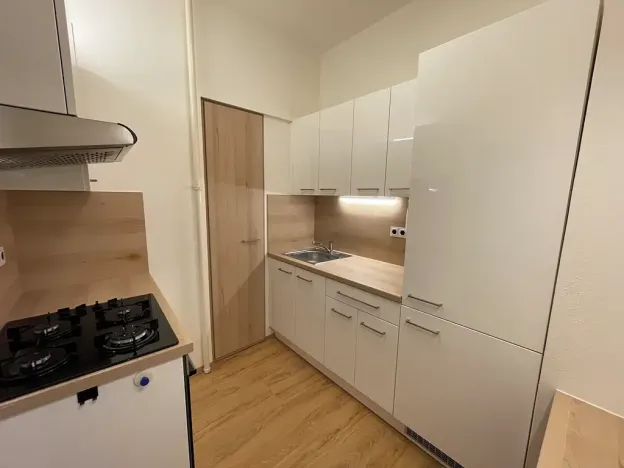 Pronájem bytu 2+1, Brno, Kotlářská, 53 m2