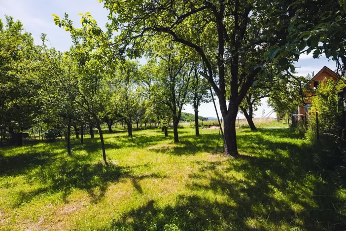 Prodej rodinného domu, Loučka, 130 m2