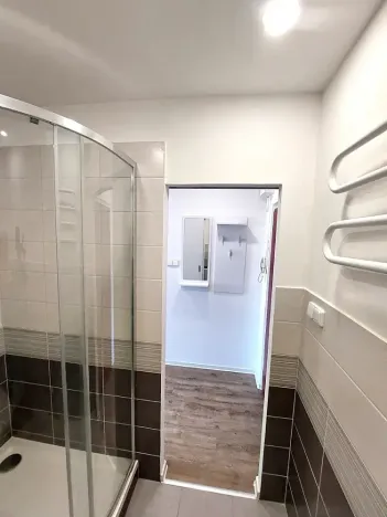Pronájem bytu 1+1, Brno, Palackého třída, 35 m2