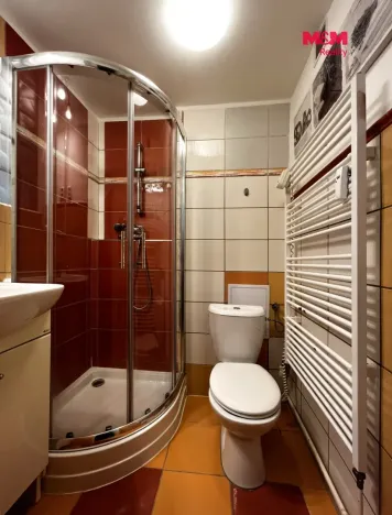 Pronájem bytu 1+1, Plzeň - Jižní Předměstí, Raisova, 30 m2
