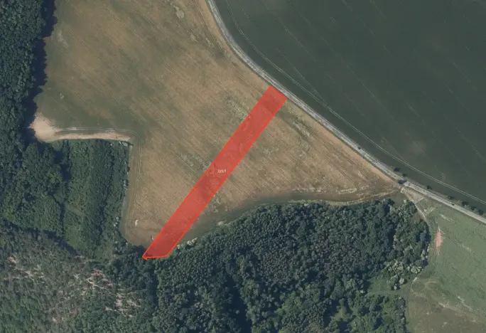 Prodej pole, Pustověty, 5481 m2