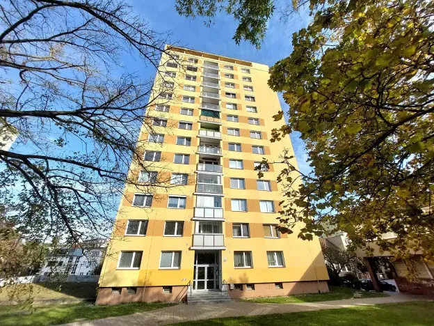 Pronájem bytu 1+1, Brno, Palackého třída, 35 m2