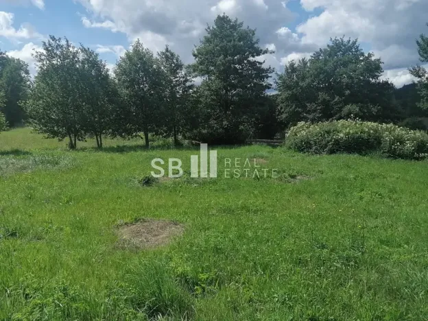 Prodej pozemku pro bydlení, Borová, 1405 m2