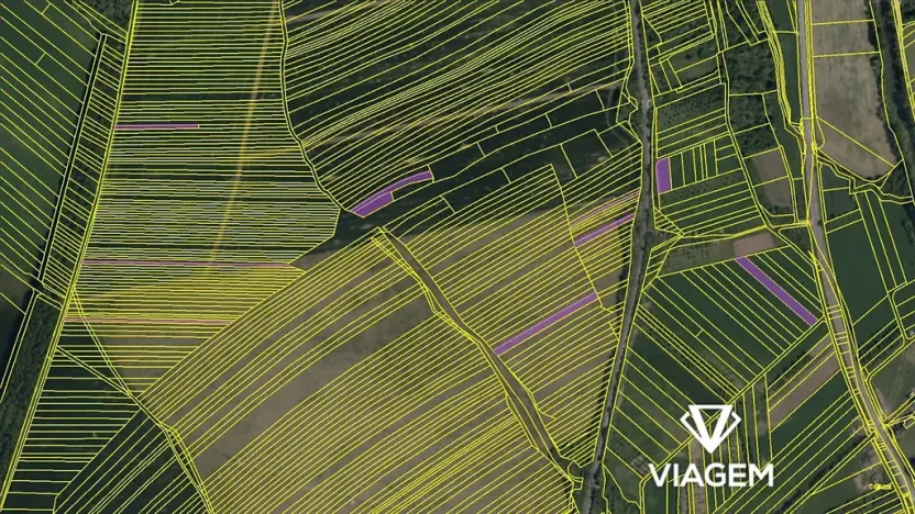 Prodej podílu pole, Velká nad Veličkou, 2740 m2