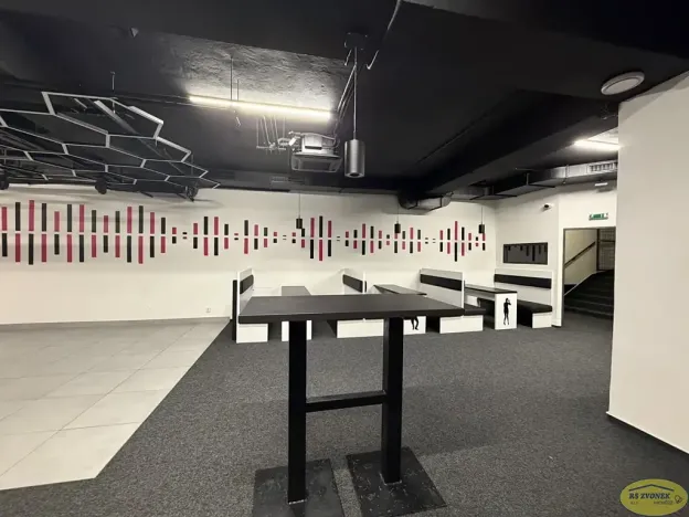 Pronájem komerční nemovitosti, Kroměříž, Křižná, 250 m2