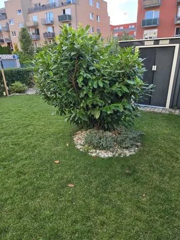 Prodej bytu 1+kk, Hostivice, Ovesná, 36 m2