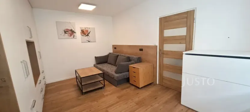 Pronájem bytu 1+1, Písek, 17. listopadu, 41 m2