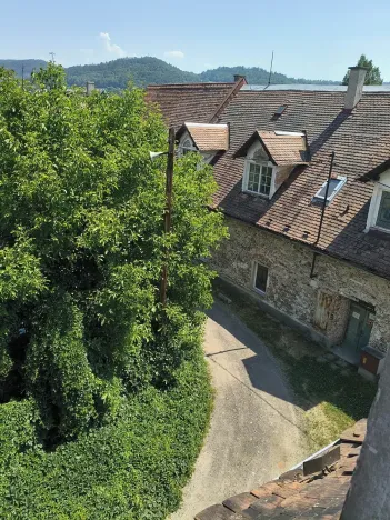 Prodej podílu vícegeneračního domu, Olšany, 831 m2