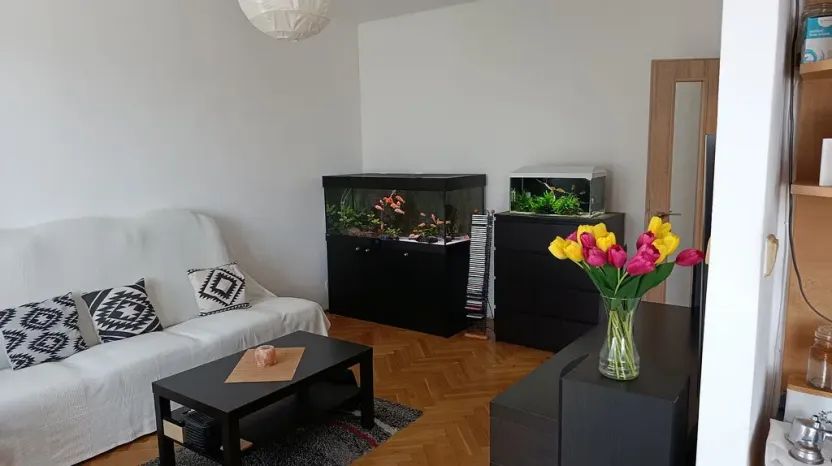 Prodej bytu 2+1, Třebíč, Družstevní, 53 m2