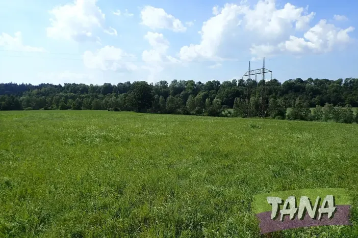 Prodej louky, Hodkovice nad Mohelkou, 49051 m2