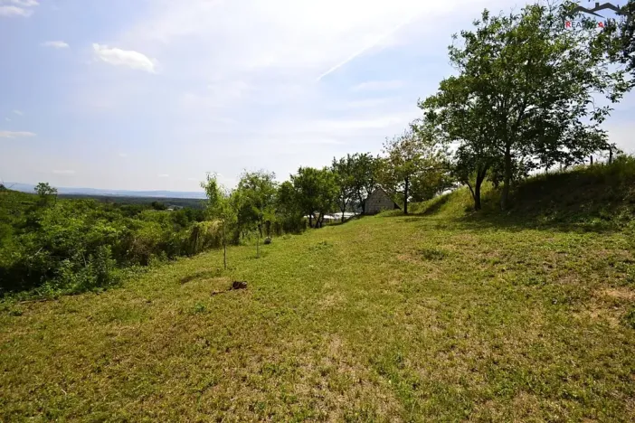 Prodej sadu/vinice, Bzenec, 2460 m2
