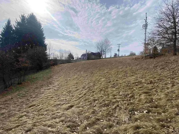 Dražba pozemku pro bydlení, Nové Hrady, 2407 m2