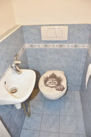 Pronájem bytu 2+1, Praha - Vršovice, Přípotoční, 80 m2