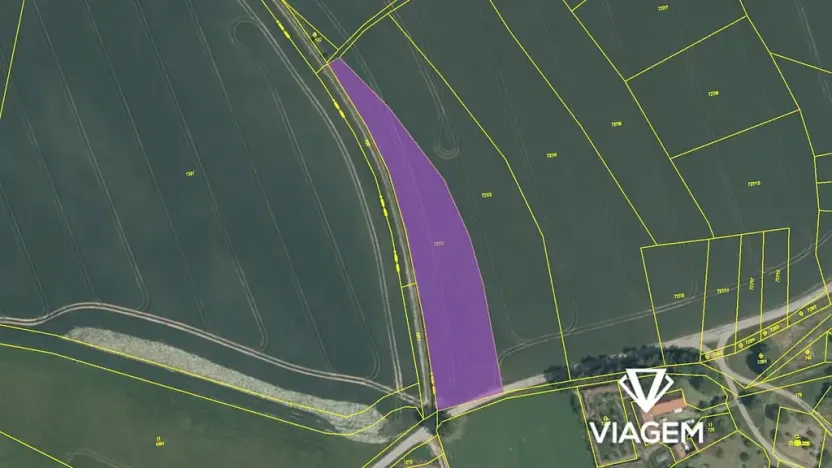Prodej podílu pole, Zvěstov, 1101 m2
