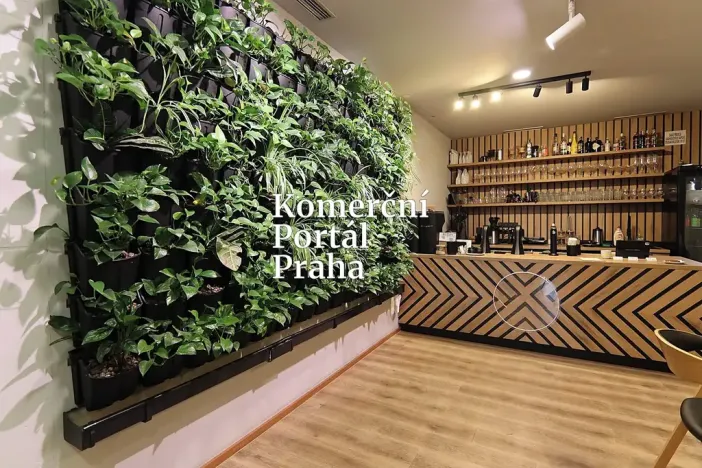 Pronájem restaurace, Praha - Vinohrady, Bořivojova, 195 m2