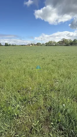 Prodej pole, Františkovy Lázně - Horní Lomany, Americká, 584 m2