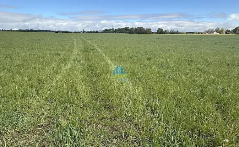Prodej pole, Františkovy Lázně - Horní Lomany, Americká, 584 m2