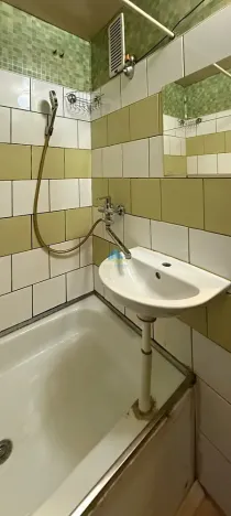 Prodej bytu 1+1, Plesná, Světlá, 35 m2