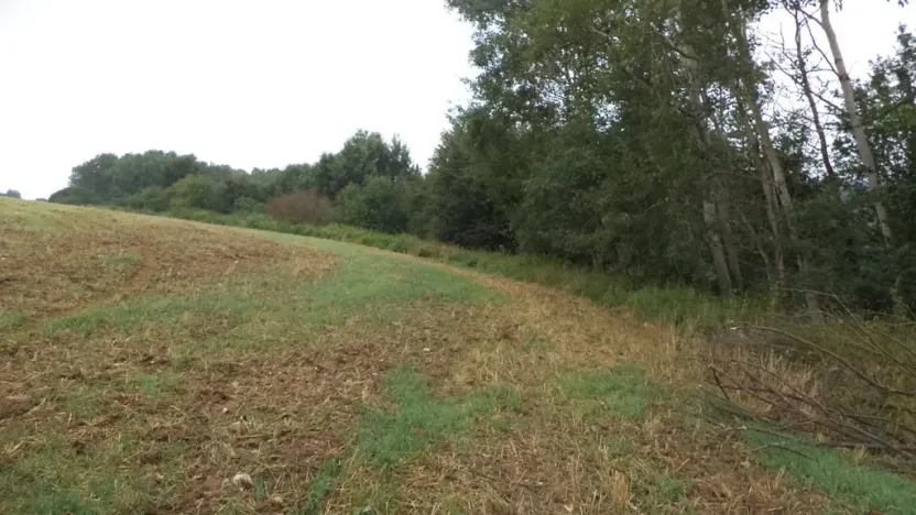 Prodej pozemku, Radkov, 1834 m2