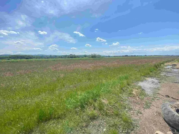 Prodej pozemku, Kravaře, 2873 m2