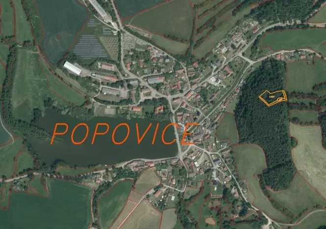 Prodej lesa, Popovice, 3093 m2