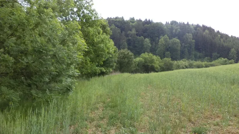 Prodej pozemku, Pohledy - Horní Hynčina, 1135 m2